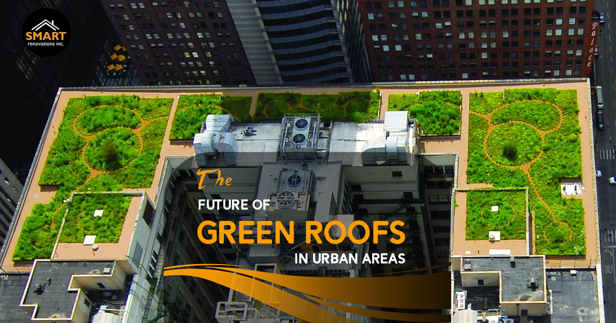 The Future of Green Roofs in Urban Areas